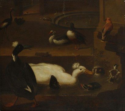 Attribué à Adriaen van OOLEN (1651 - 1694) Canards dans une fontaine. Toile. 76,5...
