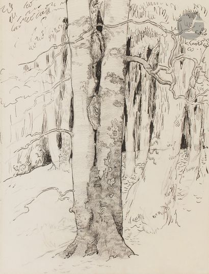 null Georges LACOMBE (Versailles, 1868 - Alençon, 1916)
Arbres au Vignage, forêt...