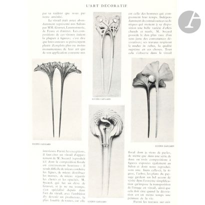 null LUCIEN GAILLARD (1861-1942)
Orchidées et Coccinelles
Peigne.
Épreuve en ivoire...