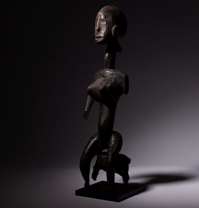 null Une rare statuette assise Gwandusu ou Jo-Nyéli au corps et au visage scarifiés,...
