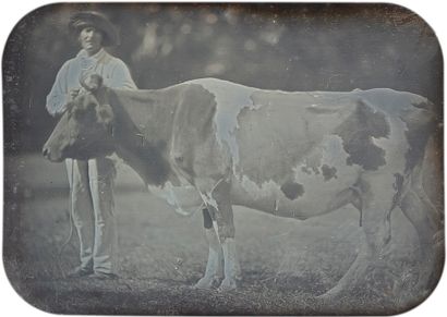 Unidentified Daguerreotypist
Cow and cowherd,...