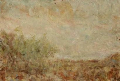 Paul KRON (1869-1936) Paysage.Huile sur toile.Non signée.24 x 35 cm
