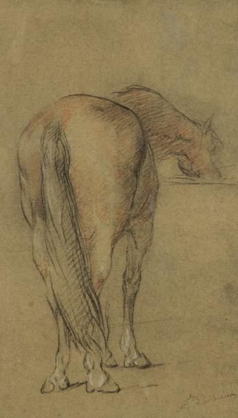 Alexandre DUBUISSON (1805-1870) Cheval au râtelier, étude. Dessin au crayon noir...