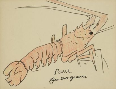 Pierre AMBROGIANI (1907-1985) La langouste. Dessin au crayon feutre, rehaussé de...