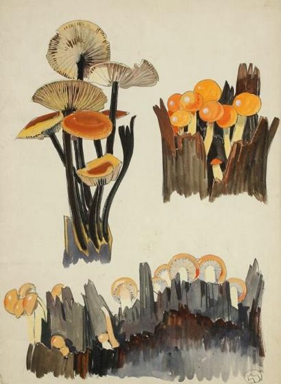 Mathurin MEHEUT (1882-1958) Étude de champignons. Gouache. Signée en bas à droite....