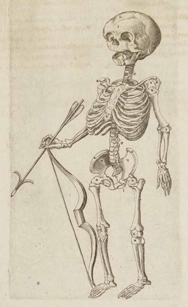 BAUHIN (Caspar) Theatrum anatomicum Caspari Bauhini: infinitis locis auctum, ad morbos...