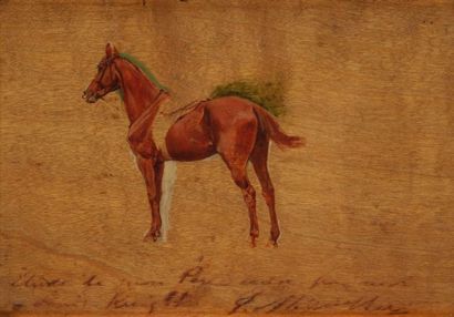 Jean-Louis-Ernest MEISSONIER (1815-1891) Étude de cheval. Huile sur panneau. Légendée...