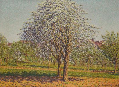Gustave-Gaston CARIOT (1872-1950) Les Pommiers en fleurs, 1902. Huile sur toile....