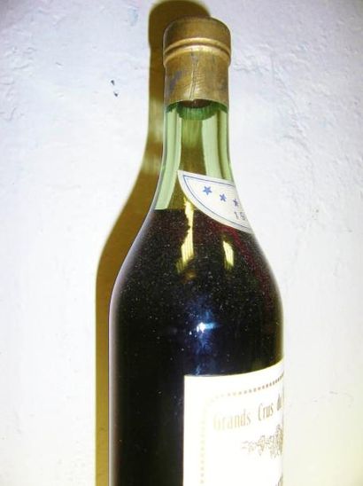 null 1 Bouteille BAS-ARMAGNAC Laberdolive 1904 (LB)