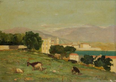 Paul CASILE (XIXe-XXe siècle) Chèvres devant Ajaccio Huile sur toile. Signée en bas...
