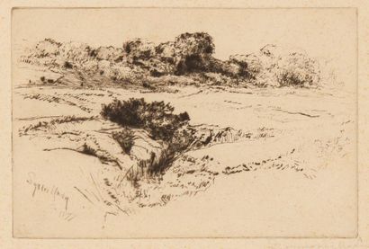 Sir Francis Seymour Haden (1818-1910) Windmill Hill n° 2. 1877. Pointe sèche. 225 x 150....