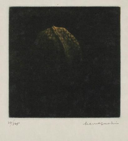 JAPON- XXe siècle Yozo Hamaguchi (1909 - 2000) Noix couleur ambre, 1982-89 Mezzotinte...