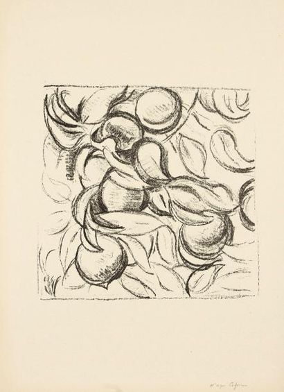 Henri MATISSE (1869-1954) Feuillages. Pl. pour l'album Cézanne, Bernheim Jeune éditeurs,...