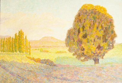 michel-Auguste COLLE (1872-1949). Paysage au tilleul. Huile sur toile, signée et...