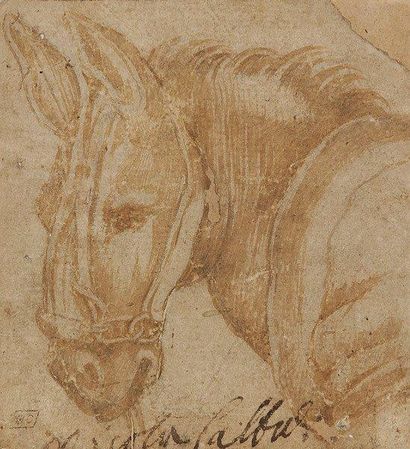 Attribué à Federico BAROCCI (1528 - 1612) 
Tête de mule
Lavis brun sur papier beige.
Porte...