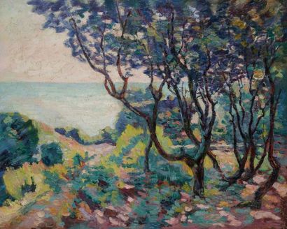 Armand GUILLAUMIN (1841-1927) 
Le Brusc, près de Toulon, vers 1900
Huile sur toile.
Signée...