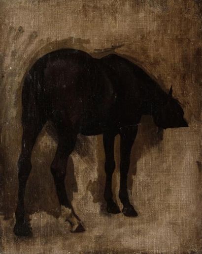 École FRANÇAISE du début du XIXe siècle Étude de cheval. Toile. 41,5 x 33,5 cm