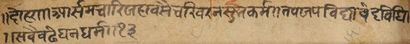 null Scène de palais, Rajasthan, Malwa, vers 1630.
Gouache sur page d'album à marges...