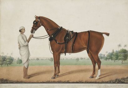  Cheval de course et palefrenier,signé «Sheikh Muhammad Amir de Karraya», Inde Calcutta,...
