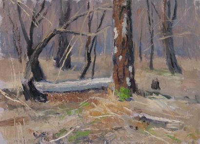 Vladimir Petrovitch TOMILOVSKY (1901-1990) Forêt au printemps Huile sur carton. 23...
