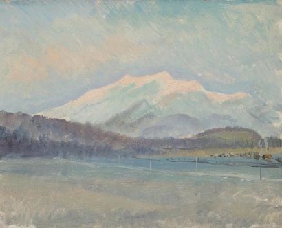 Vladimir Petrovitch TOMILOVSKY (1901-1990) Paysage de montagne Huile sur carton....