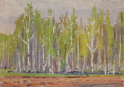 Vladimir Petrovitch TOMILOVSKY (1901-1990) Forêt de bouleaux Huile sur carton. 32...