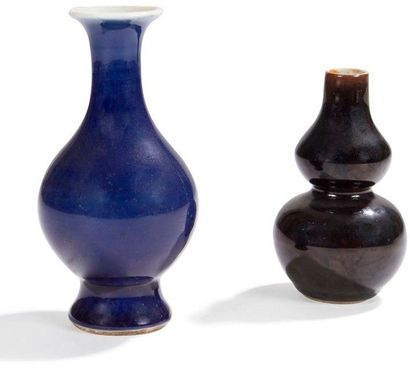 CHINE - XIXe siècle 
Deux petits vases en porcelaine, l?un double gourde émaillé...