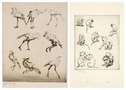 PAUL RENOUARD (1845-1924) 
Études de singes; Études d'oiseaux échassiers. Pointe...