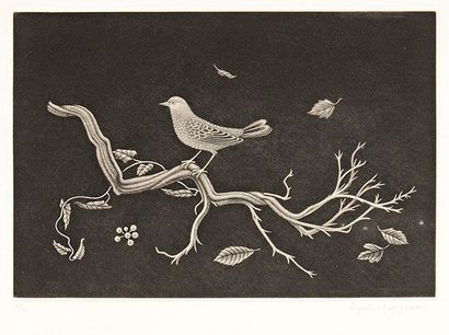 Kiyoshi Hasegawa (1891-1980) 
Oiseau sur racine. 1960. Manière noire. 288 x 194....