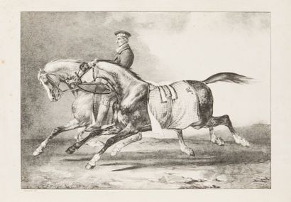 Théodore GERICAULT (1791-1824) 
Deux chevaux gris pommelés que l'on promène, 1822
Lithographie.
(Quelques...