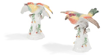 Allemagne 
Deux oiseaux en porcelaine à décor polychrome.
Fin du XIXe siècle.
H.:...