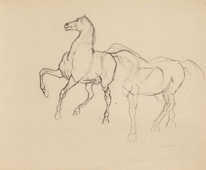 Odilon REDON (1840-1916) 
Études de chevaux
Dessin au fusain sur vélin.
Signé en...