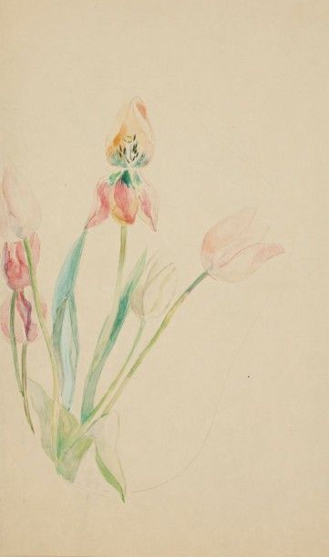 Paule GOBILLARD (1869-1946) 
Tulipes
Aquarelle et gouache sur japon.
Timbrée au verso.
32...