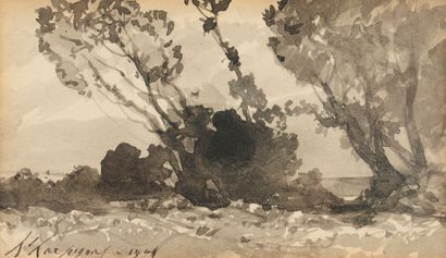 Henri-Joseph HARPIGNIES (1819-1916) 
Paysage, 1905
Dessin à l'encre de Chine et lavis.
Signé...