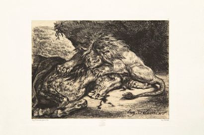 Eugène DELACROIX 
Lion dévorant un cheval. 1844. Lithographie. 169 x 236. Delteil,...