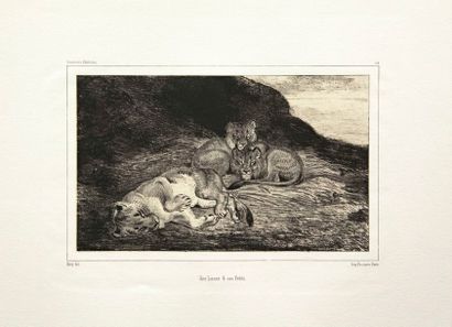 Antoine-Louis BARYE 
Une lionne et ses petits. 1832. Lithographie. 125 x 208. Delteil...