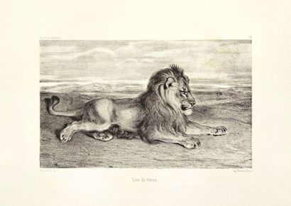 Antoine-Louis BARYE 
Lion de Perse. 1832. Lithographie. 137 x 227. Delteil 4. Très...