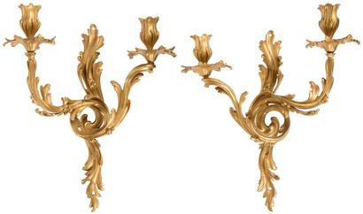 null Paire de bras de lumière en bronze redoré à deux branches en enroulement et...