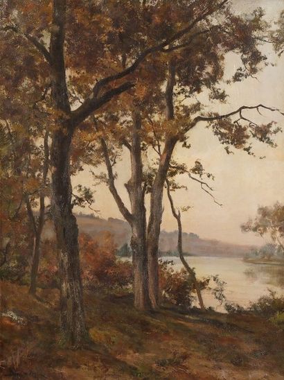 Léon BOPP du PONT (1840-1924) 
Arbres en bord de rivière
Huile sur toile.
Signée...