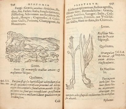 DU PINET (Antoine) 
Historia plantarum.
Lyon: Gabriel Cotier, 1561. ? In-16, 640...
