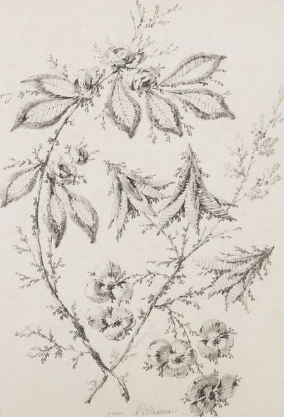 Attribué à Jean PILLEMENT 
Deux décors de fleurs dans le goût chinois de 1770
Crayon...