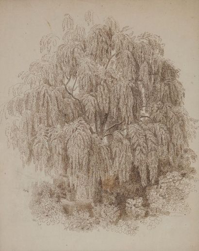 Jean Baptiste CLERC (France XIXe siècle) 
Une paire: un arbre; paysage
Plume et encre...