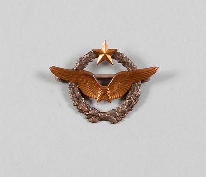 FRANCE Rare insigne de brevet de pilote aviateur militaire N°B882. 
Ailes et étoiles...