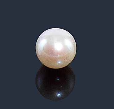 null Importante perle de culture blanc crème percée. Diamètre : 14,7 mm