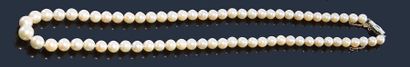 null Collier de perles de culture en chute, fermoir en or gris 18K (750‰) orné de...