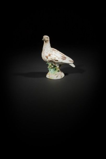 null Meissen.
Pigeon en porcelaine sur une base ornée de joncs et de rinceaux rocaille...