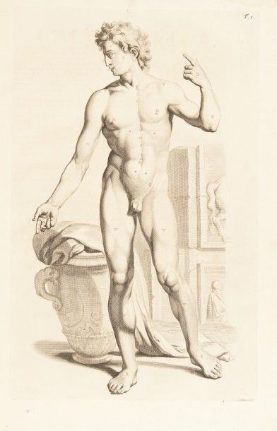 COWPER (William). Anatomia corporum humanorum centum et quatuordecim tabulis, singulari...