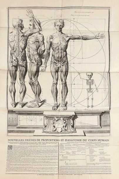 Chrysóstomo Martinez (espagnol, « peintre-anatomiste ») (actif fin XVIIe s.) Nouvelles...