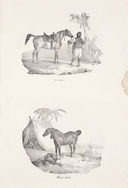 Théodore Géricault (1791-1824) Études de chevaux par Géricault. A Paris, chez Gihaut...