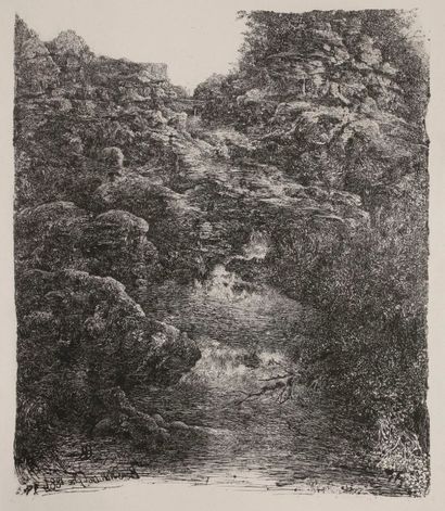 Rodolphe Bresdin (1822-1885) Le Gave. 1884. Lithographie. 313 x 369. Van Gelder 153....